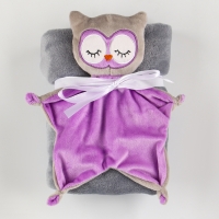 Набор подарочный: Комфортер 27 см + плед 71х125 см, &laquo;Сова&raquo;