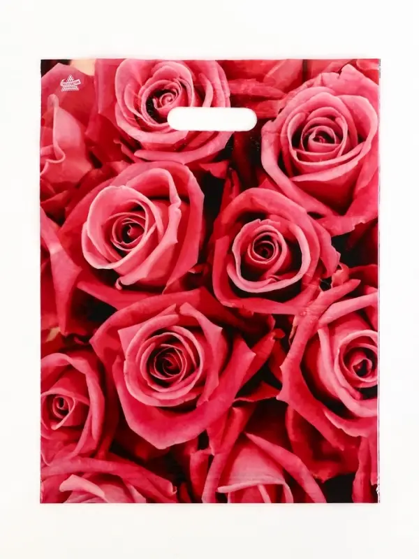 Пакет "Джейми", полиэтиленовый с вырубной ручкой, л 40х31 см, 60 мкм