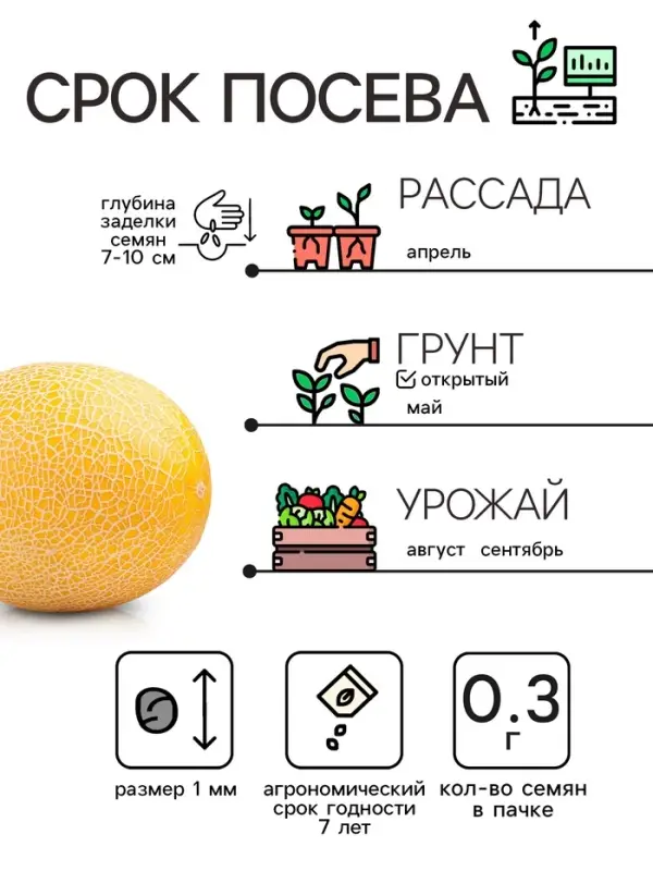 Семена Дыня "Колхозница 749/753", 0,3 г