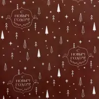 Бумага упаковочная новогодняя глянцевая двусторонняя &laquo;Изысканность&raquo;, 50&times;70 см