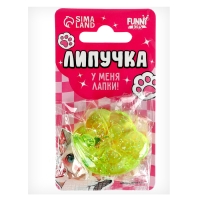 Липучка &laquo;Лапки&raquo;, цвета МИКС, на блистере