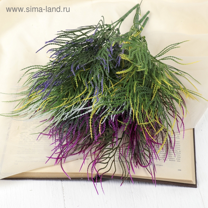 Букет Букет "Пырей" 35 см, микс