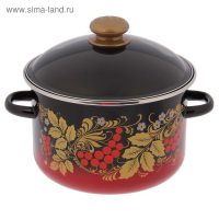 Кастрюля эмалированная &laquo;Рябинушка&raquo;, 4 л, индукция