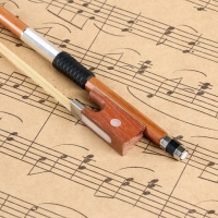 Смычок для скрипки Music Life 1/2 Смычок для скрипки Music Life 1/2