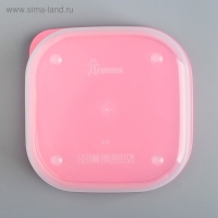 Ланч - бокс квадратный &laquo;Фламинго&raquo;, 700 мл