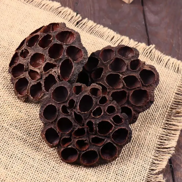 Декор сухоцвет &laquo;Лотос&raquo;, d=8-11 см, коричневый