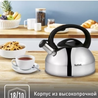 Чайник для плиты из нержавеющей стали C7922024, 3 л