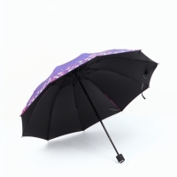 Зонт механический «Хамелеон», эпонж, 4 сложения, 10 спиц, R = 49/56 см, D = 112 см, цвет МИКС Зонт механический «Хамелеон», эпонж, 4 сложения, 10 спиц, R = 49/56 см, D = 112 см, цвет МИКС