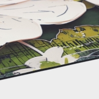 Коврик для дома Доляна Anemona, влаговпитывающий, 39&times;60 см