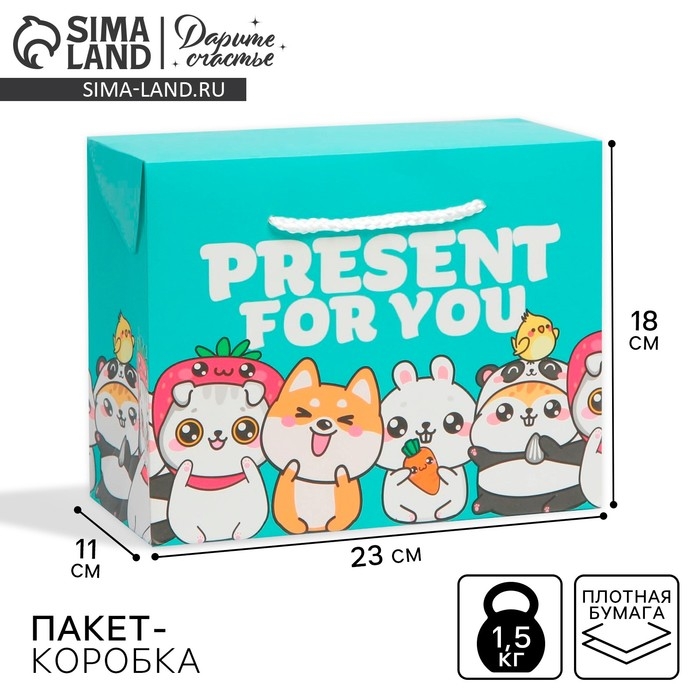 Пакет&mdash;коробка, подарочная упаковка, &laquo;Present&raquo;, 23 х 18 х 11 см