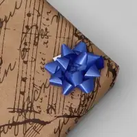 Бант - звезда №3.5, фасовка 8 шт., МИКС