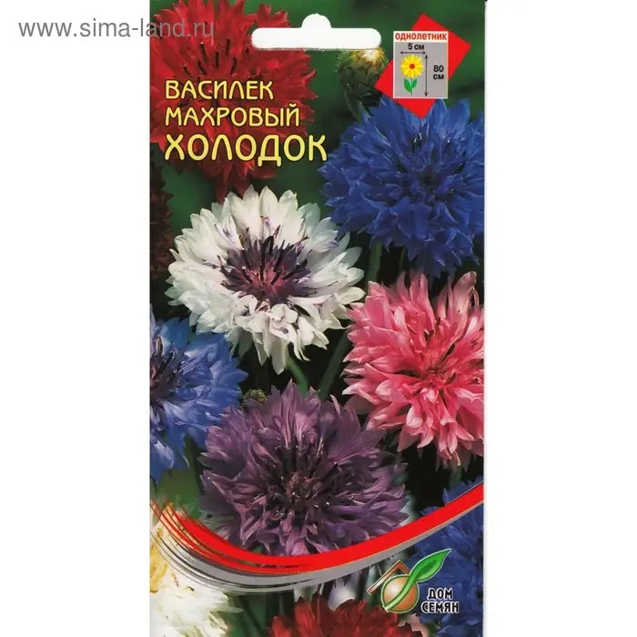 Семена цветов Василек "Холодок" Дом семян смесь, О,  30 шт