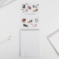 Скетчбук &laquo;Кот&raquo; А5, 40 л, 100 г/м