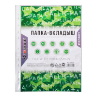 Файл-вкладыш А4, 50 мкм, Calligrata "Люкс", глянцевый, вертикальный, 100 штук Файл-вкладыш А4, 50 мкм, Calligrata "Люкс", глянцевый, вертикальный, 100 штук