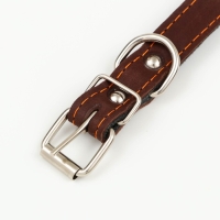 Ошейник кожаный на синтепоне, с шипами, 2 х 40 см, ОШ 25-35 см,тёмно-коричневый Ошейник кожаный на синтепоне, с шипами, 2 х 40 см, ОШ 25-35 см,тёмно-коричневый