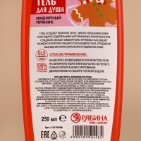 Новый Год. Гель для душа, 250 мл, аромат имбирного пряника