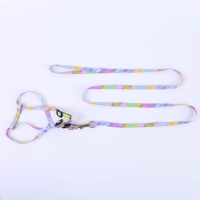 Комплект &laquo;Листья&raquo;, шлейка 24-36 см, поводок 120х1 см