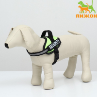 Шлейка К9 мягкая светоотражающая, размер ХS, ОГ 38-50 см, вес 3-6 кг, зелёная Шлейка К9 мягкая светоотражающая, размер ХS, ОГ 38-50 см, вес 3-6 кг, зелёная