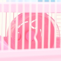 Клетка для грызунов "Пижон" с замком, 31 х 24 х 27 см, розовая Клетка для грызунов "Пижон" с замком, 31 х 24 х 27 см, розовая