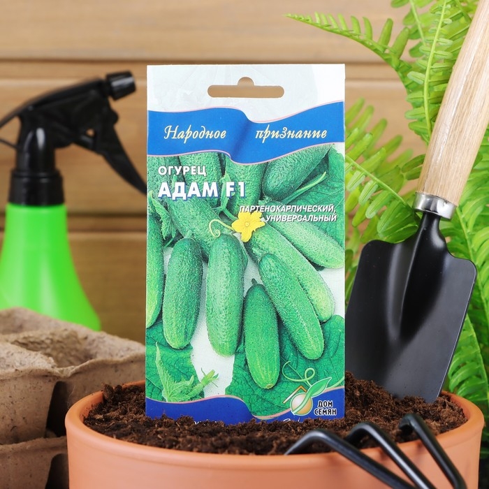 Семена огурца "Адам", F1, 6 шт.