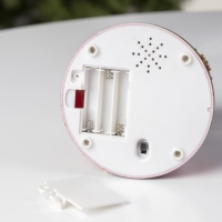 Светодиодная фигура &laquo;Карусель&raquo; 12 &times; 16 &times; 12 см, полистоун, батарейки АААх3 (не в комплекте), свечение RGB