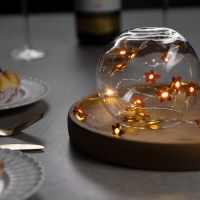 Гирлянда &laquo;Нить&raquo; 2 м роса с насадками &laquo;Цветок&raquo;, IP20, серебристая нить, 20 LED, батарейки ААх2 (нет в комплекте), свечение тёплое белое