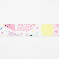 Поводок &laquo;Сочное настроение&raquo;, 2.5 см, 2 м