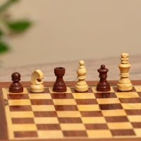 Шахматы магнитные 20,5х20,5х3,5 см, дерево шишам Шахматы магнитные 20,5х20,5х3,5 см, дерево шишам