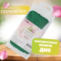 Набор ниток мулине №3812, 8 &plusmn; 1 м, 6 шт, цвет мятный