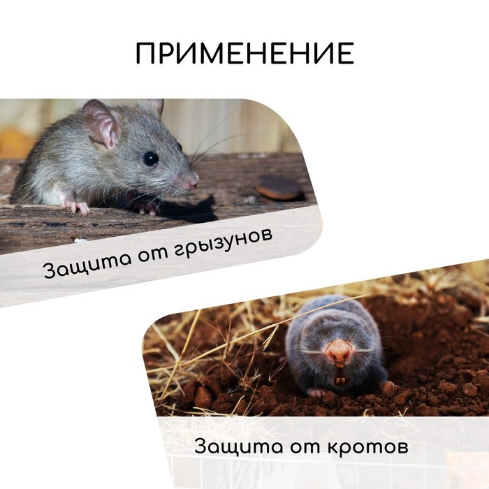 Сетка оцинкованная, сварная, 10 &times; 1 м, ячейка 12,5 &times; 12,5 мм, d = 1 мм, Greengo