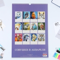 Календарь перекидной на ригеле А3 "Акварельные совушки" 2025 год, 32 х 48 см Календарь перекидной на ригеле А3 "Акварельные совушки" 2025 год, 32 х 48 см