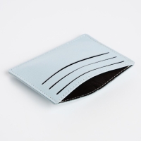 Картхолдер, цвет голубой Картхолдер, цвет голубой