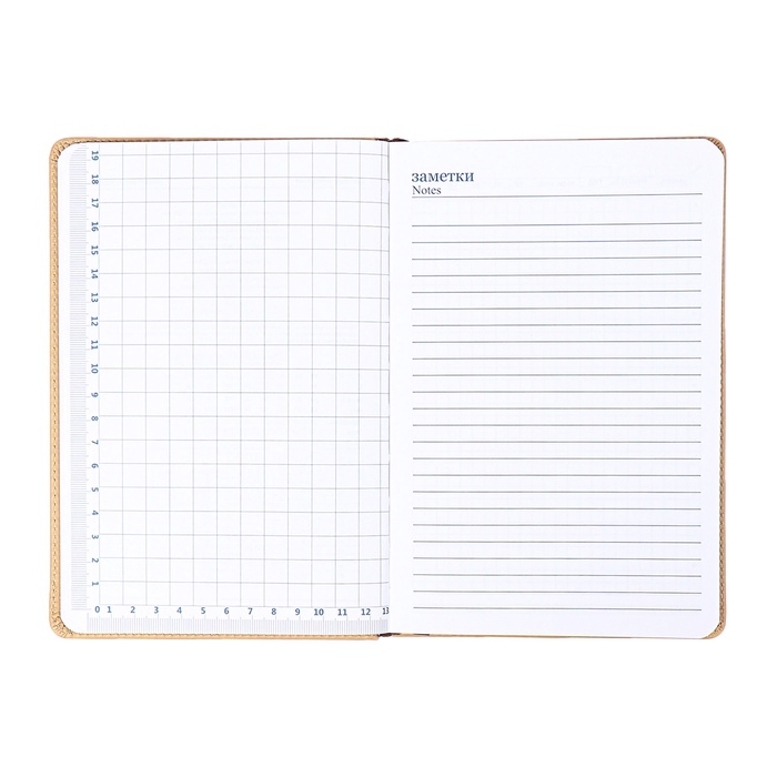 Ежедневник недатированный, обложка ПВХ, формат А5, 140 л, клетка, с хлястиком, Бежевый