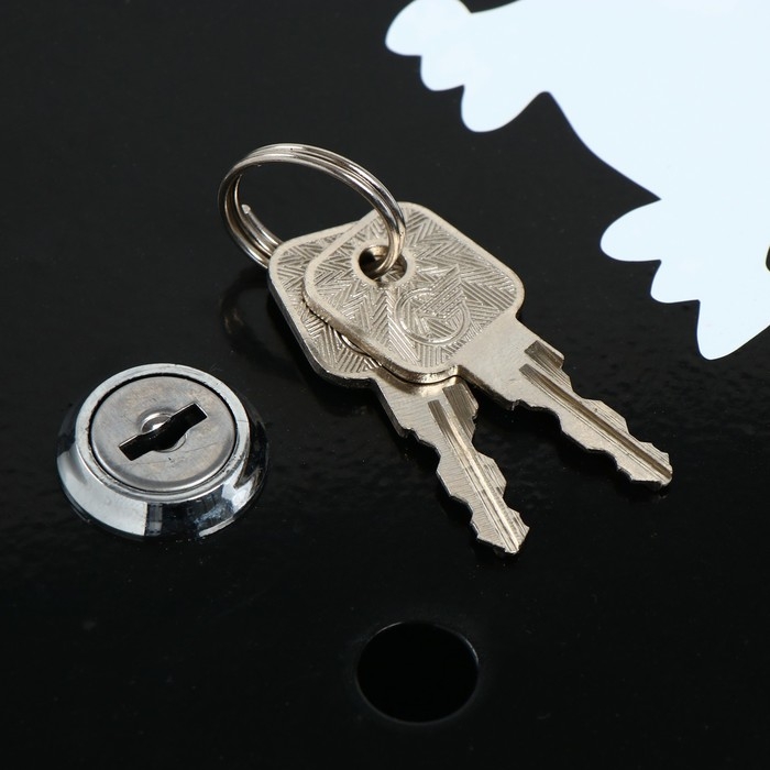 Ящик почтовый с замком, вертикальный, &laquo;Домик&raquo;, чёрный