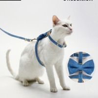 Комплект амуниции "Леди и Джентельмен", поводок 120 х 1 см, синий