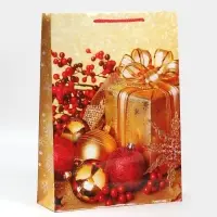 Пакет подарочный новогодний ламинированный &laquo;Поздравляю&raquo;, L 28 х 38 х 9 см