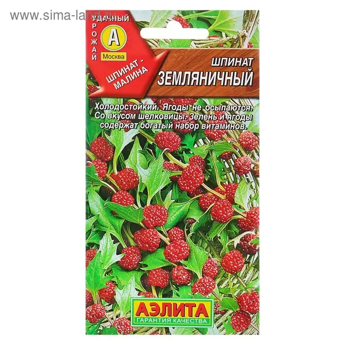 Семена Шпинат "Земляничный", 0,05 г