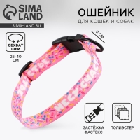 Ошейник &laquo;Несу счастье&raquo;, застёжка - фастекс, 2 см 25-40 см