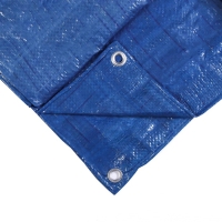 Тент защитный, 8 &times; 6 м, плотность 60 г/м&sup2;, люверсы шаг 1 м, тарпаулин, УФ, синий