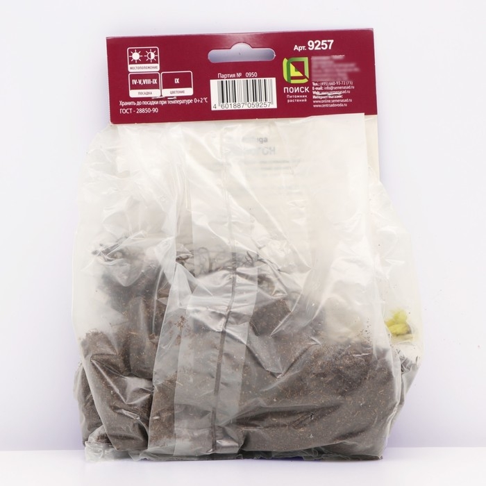 Клопогон простой Вайт Пёрл, р-р I, 1 шт, Весна 2025 Клопогон простой Вайт Пёрл, р-р I, 1 шт, Весна 2025