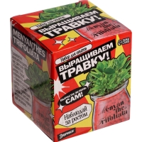 ЭВРИКИ Набор для опытов "Выращиваем травку", красный ЭВРИКИ Набор для опытов "Выращиваем травку", красный