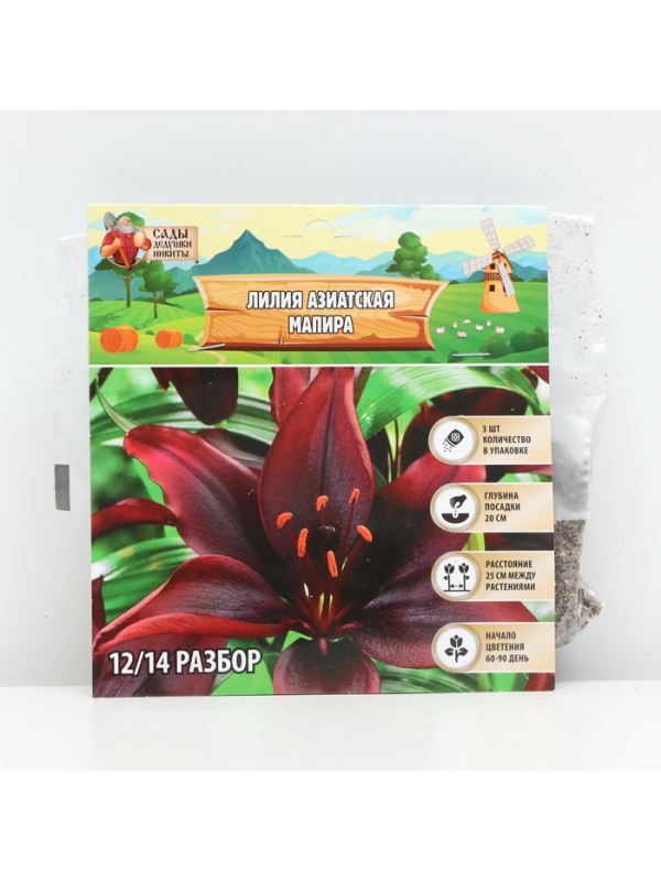 Лилия Азиатская «Мапира», луковица в пакете с перфорацией, р-р 12/14, 3 шт. Лилия Азиатская «Мапира», луковица в пакете с перфорацией, р-р 12/14, 3 шт.