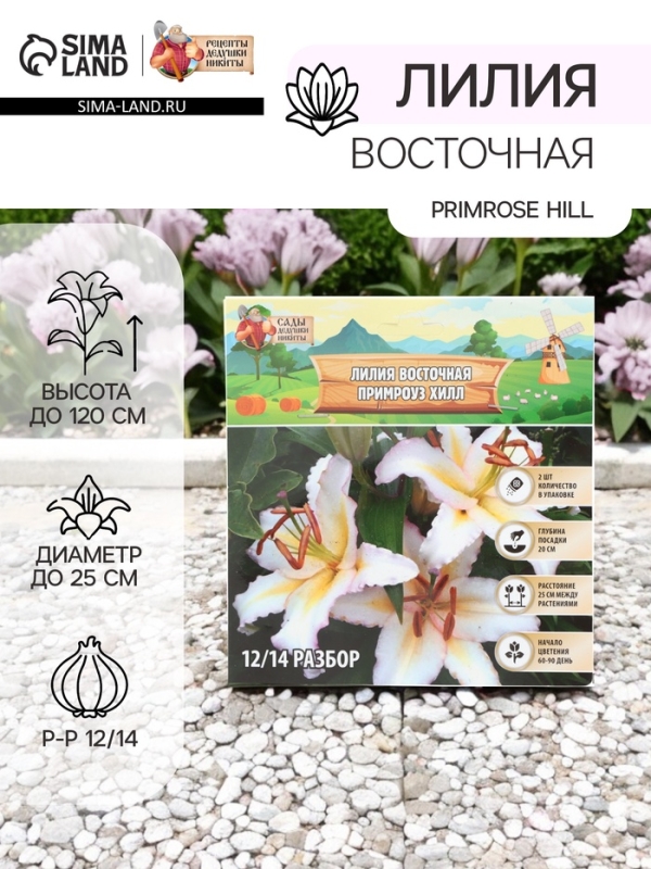 Лилия Восточная Primrose Hill, луковица в пакете с перфорацией, р-р 12/14, 2 шт.