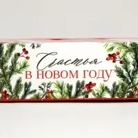 Коробка под 3 конфеты с ячейками &laquo;Счастье&raquo;, 13.3 х 3.3 х 5.8 см