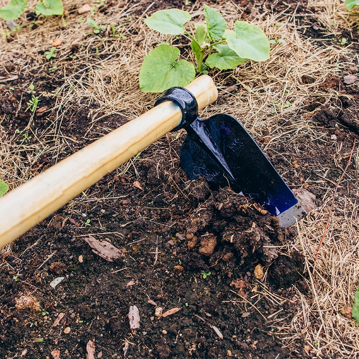 Мотыга кованая, тулейка 40 мм, без черенка, Greengo