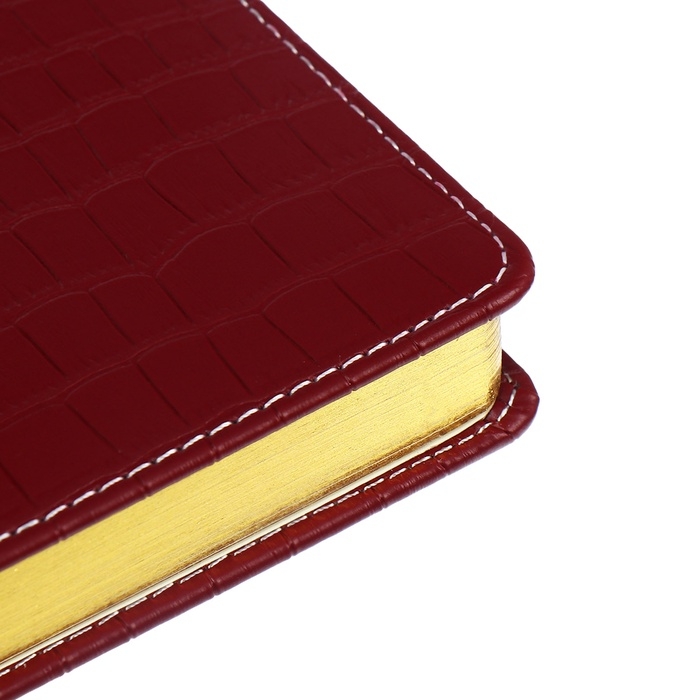 Ежедневник датированный 2024 A5 176 листов, deVENTE.Wild, твёрдая обложка из искусственной кожи, золотой срез, ляссе, кремовый блок 70 г/м2, бордовый