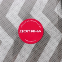 Органайзер для хранения белья &laquo;Зигзаг&raquo;, 8 ячеек, 32&times;24&times;12 см, цвет серый