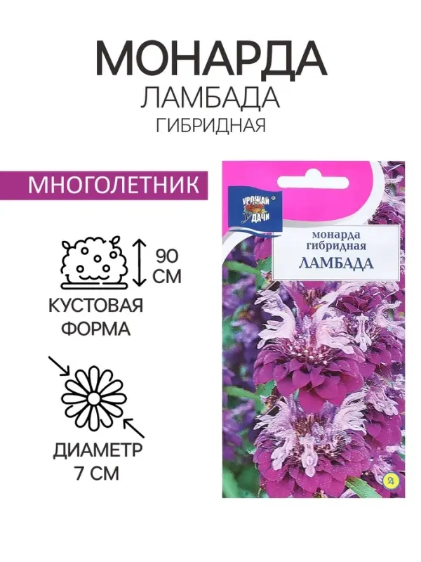 Семена цветов Монарда гибридная "Ламбада", 0,03 г