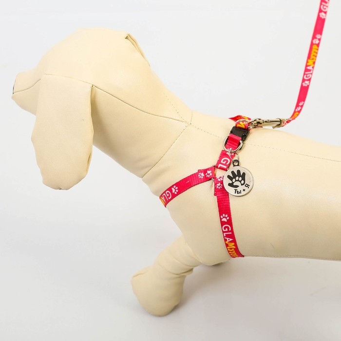 Комплект &laquo;Ты и я&raquo;, шлейка 26-39 см, поводок 120х1 см, медальон