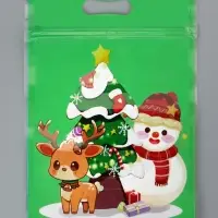 Пакет подарочный, с zip-lock застежкой, "Снеговик и его друзья", 15х22см МИКС